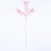 The Whimsical Candy Stripe Stem-Pink