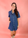 short denim button down dress