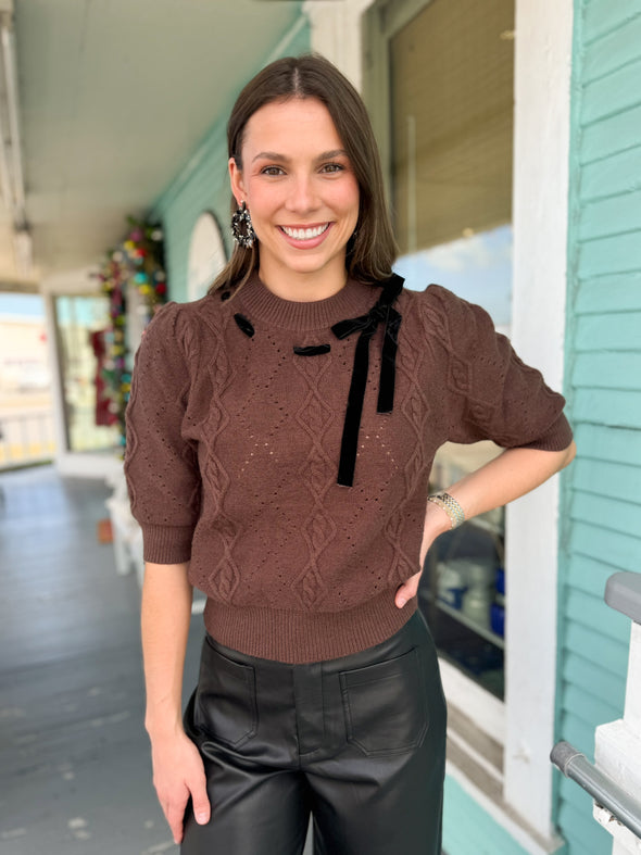 (THML) The Delaine Ribbon Sweater-Brown