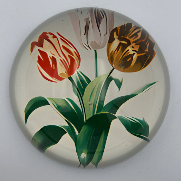 Beautiful Glass Paperweights-Multiple Styles