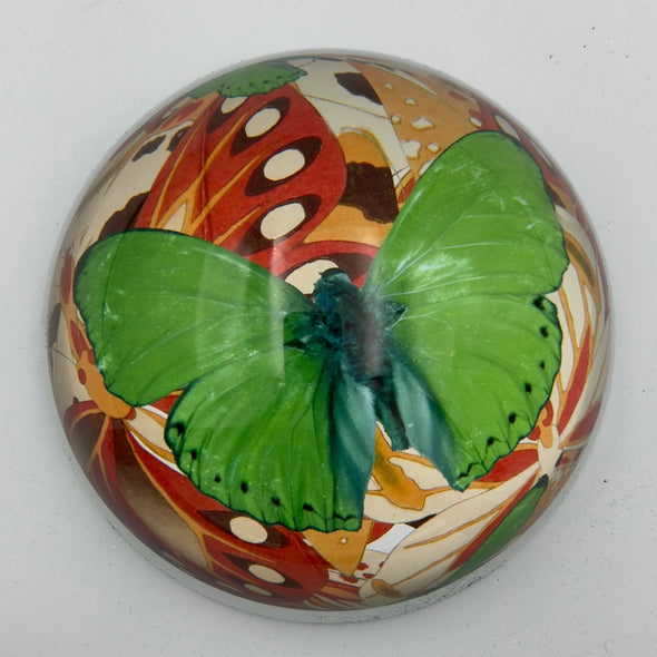 Beautiful Glass Paperweights-Multiple Styles